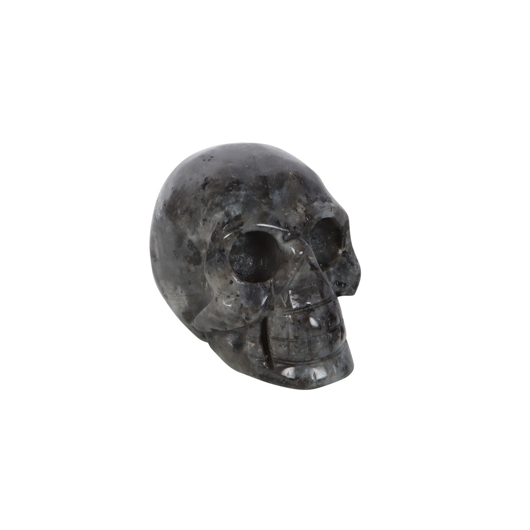 Black Labradorite Crystal Skull