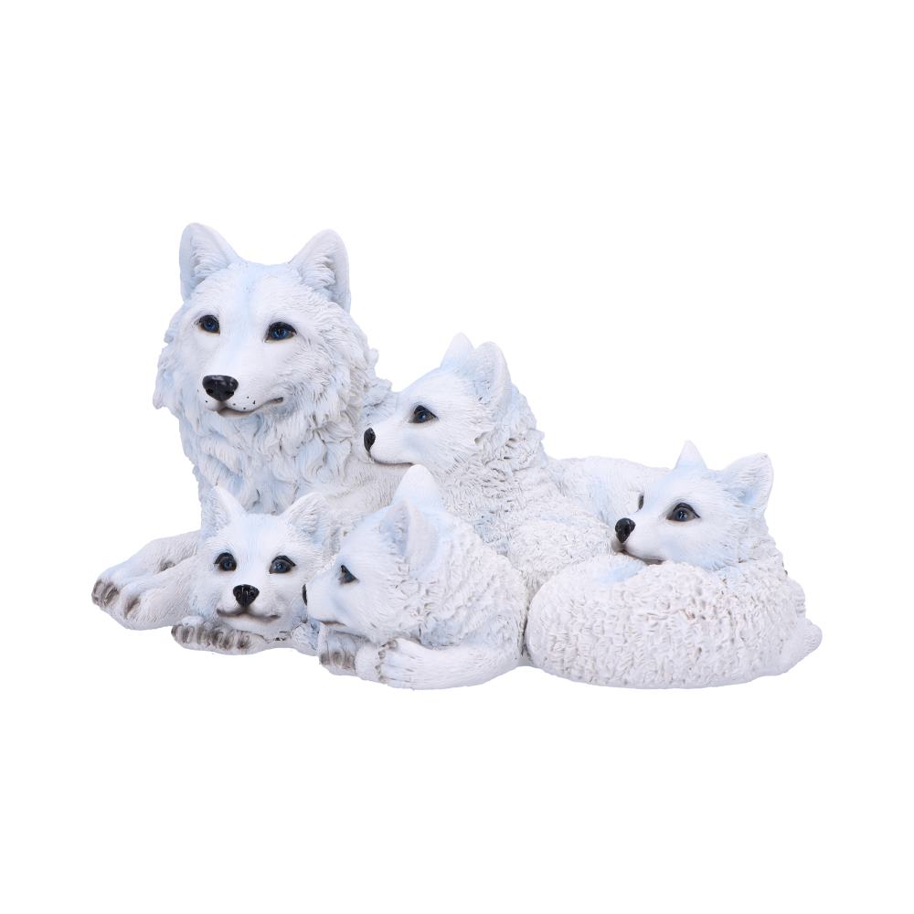 Pups Protection 20.5cm