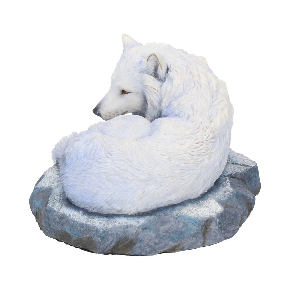 Guardian Of The North (LP) 19.5cm
