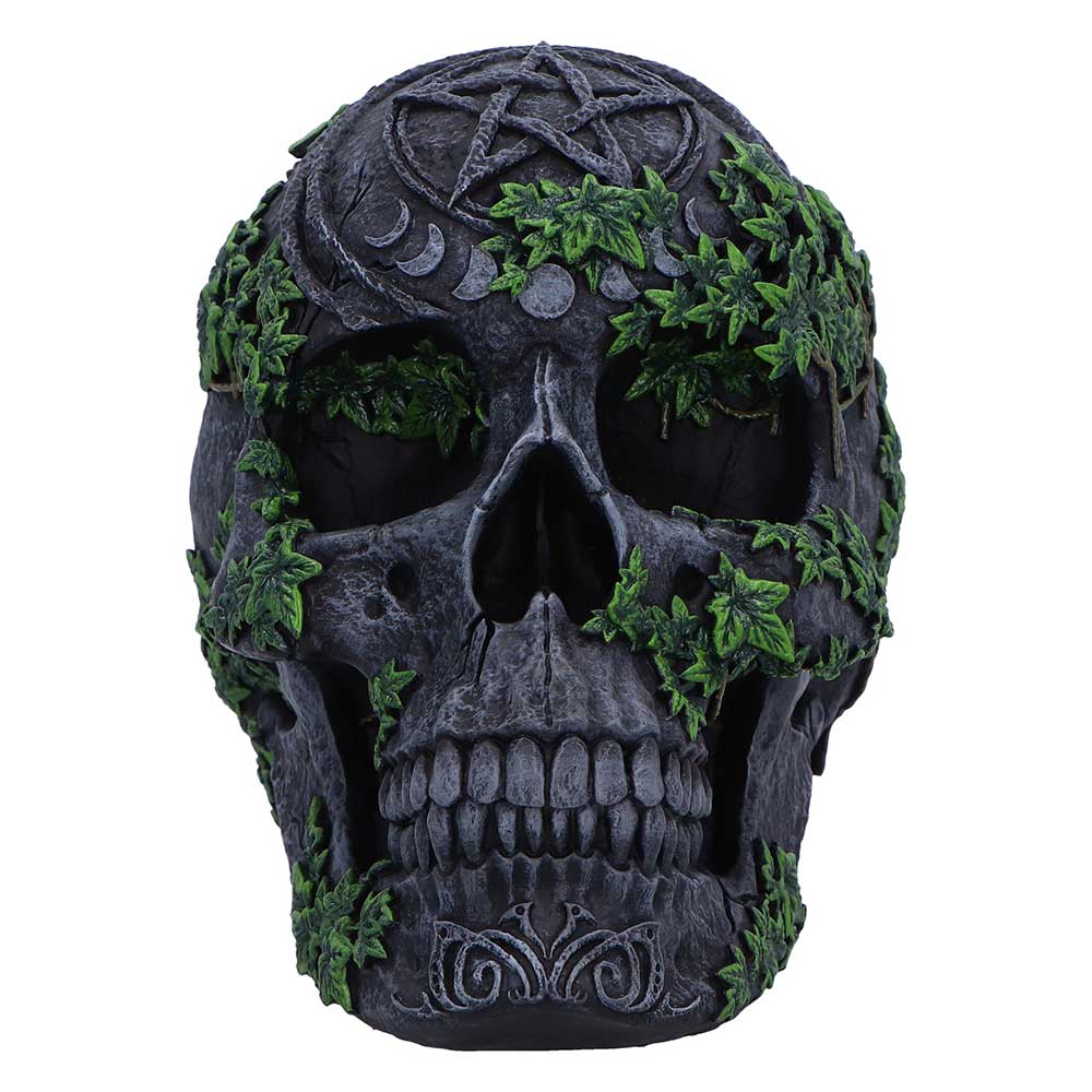 Aged Pentagram Skull 18.8cm