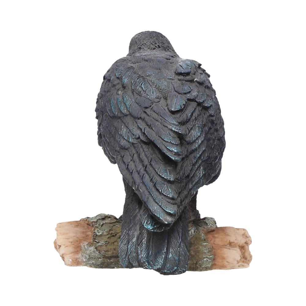 Raven's Call 20cm