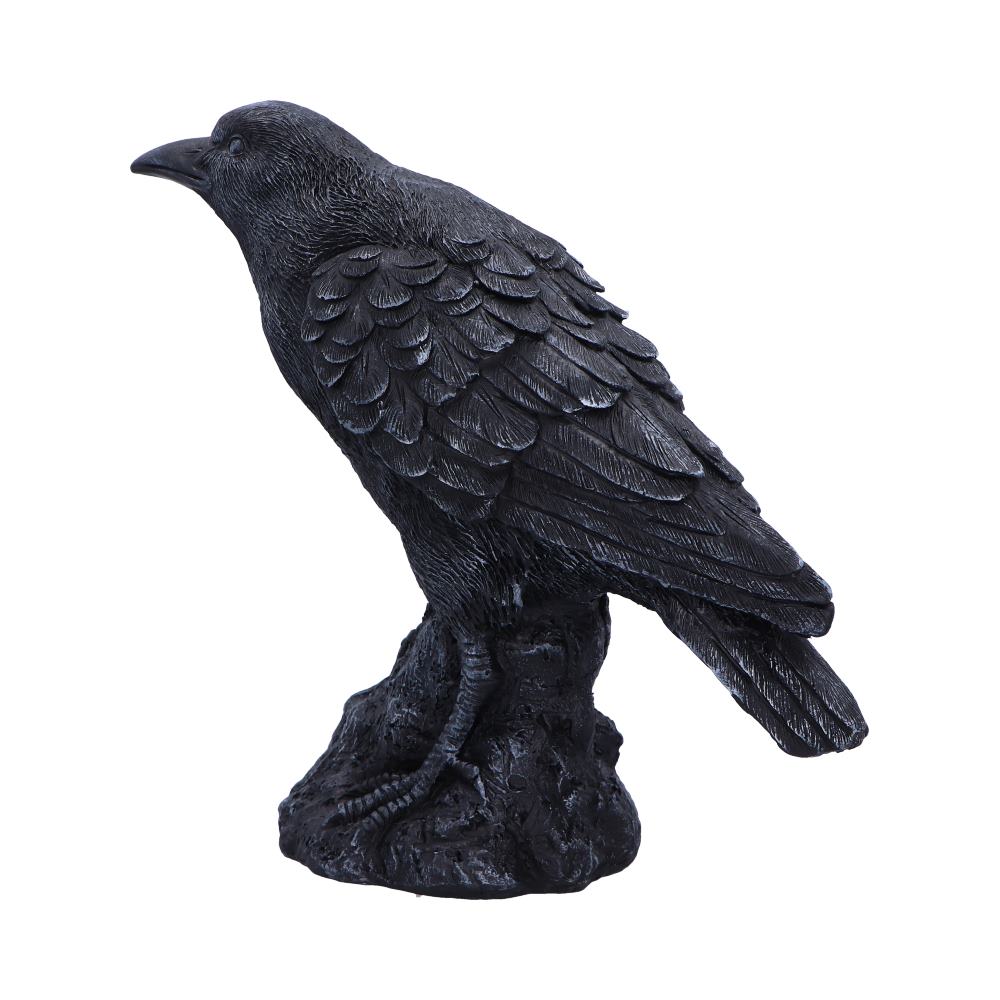Raven Messenger 25cm