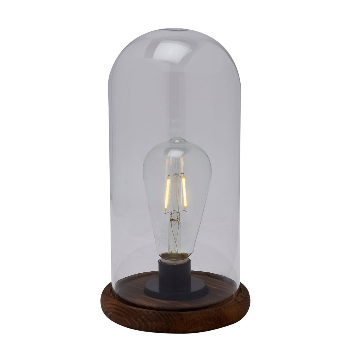 Hestia LED Light Up Glass Dome with Bulb  - Large