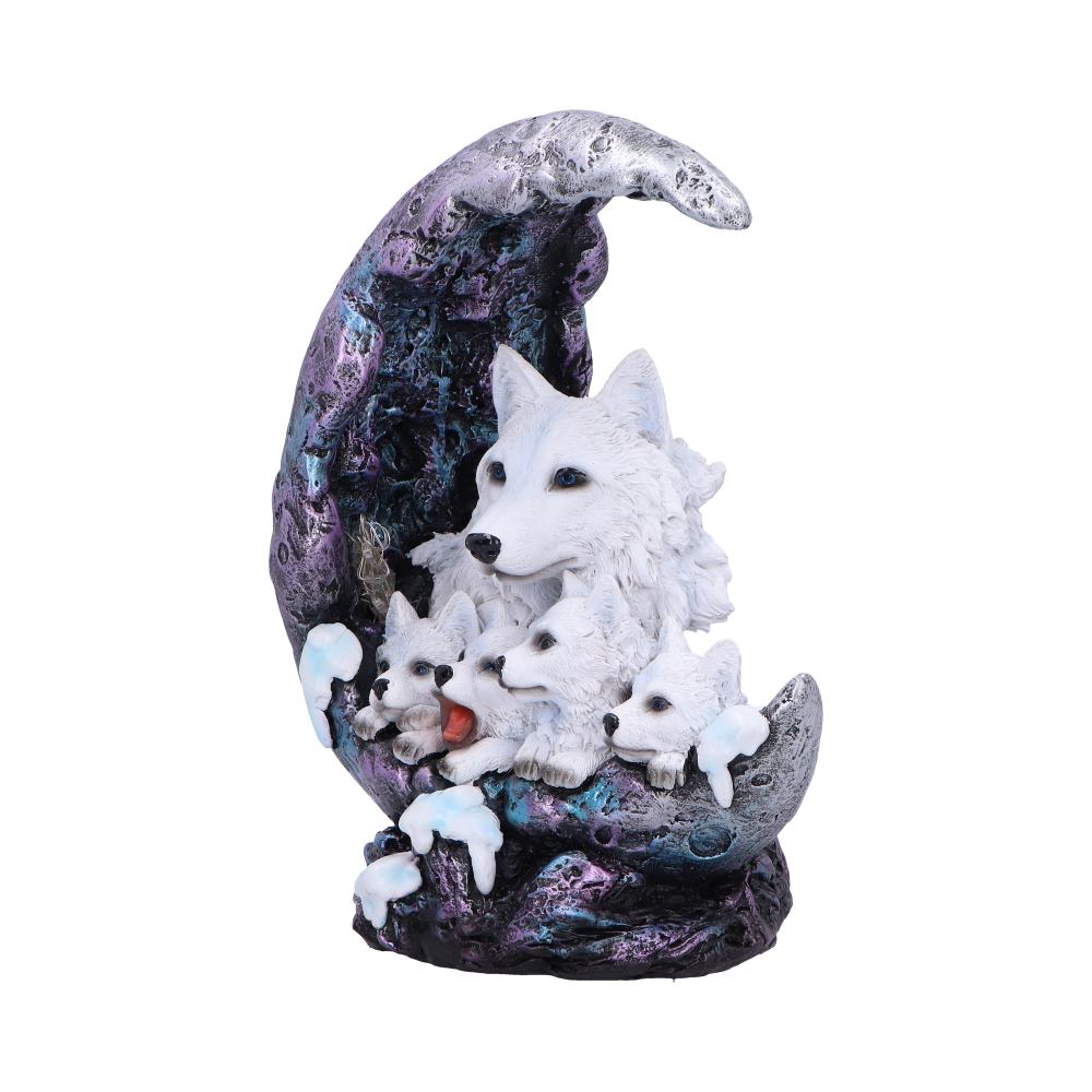 Winter Moon 20cm