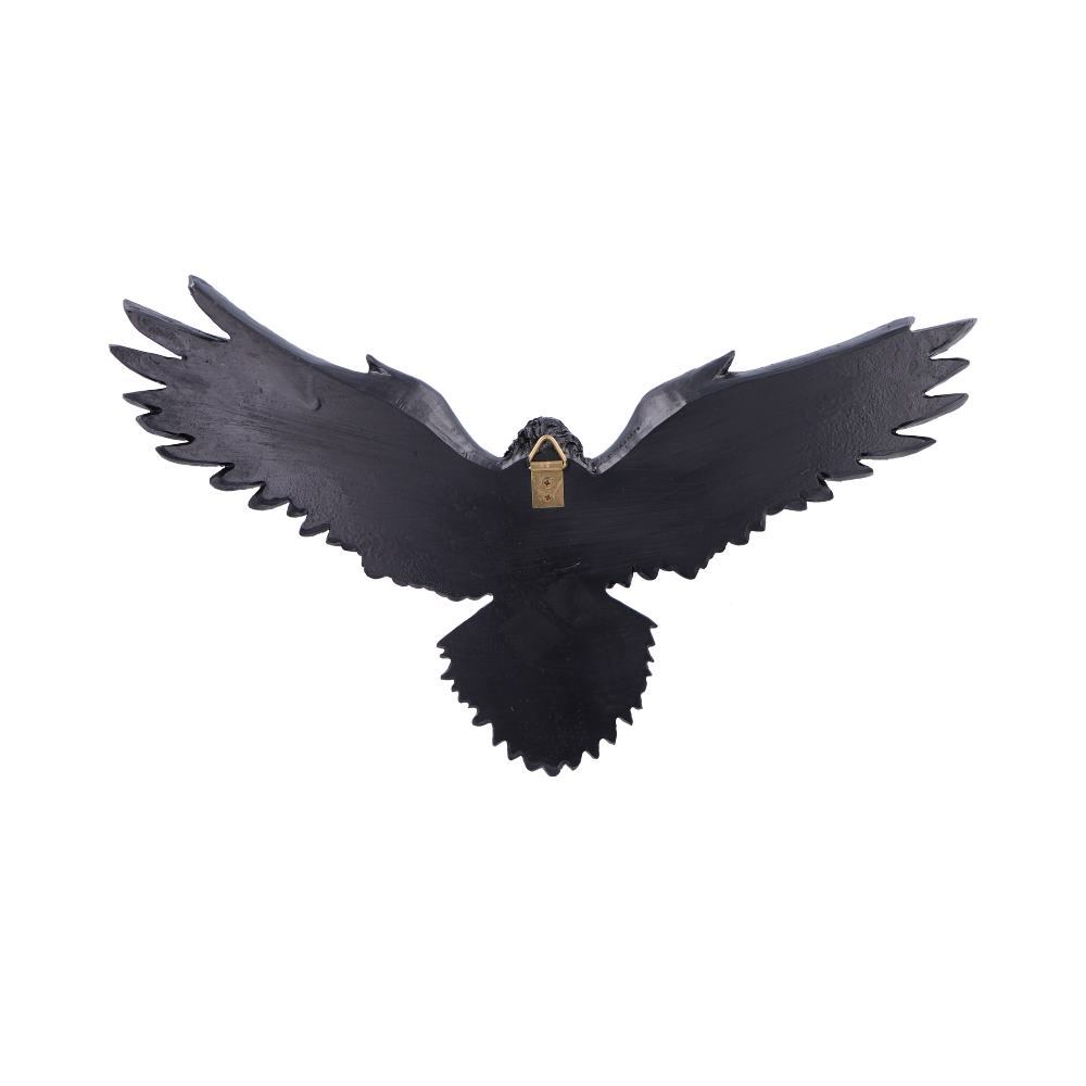 Flight of the Raven 35cm