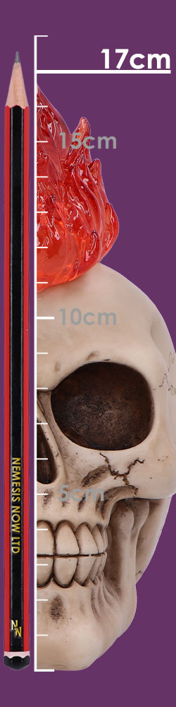Hot-Headed 19cm